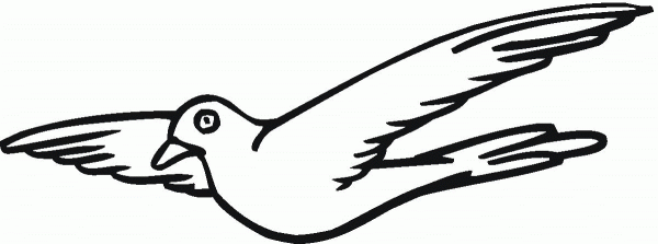 Pigeon coloring page image
