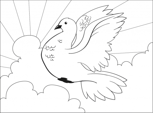 Pigeon coloring page image