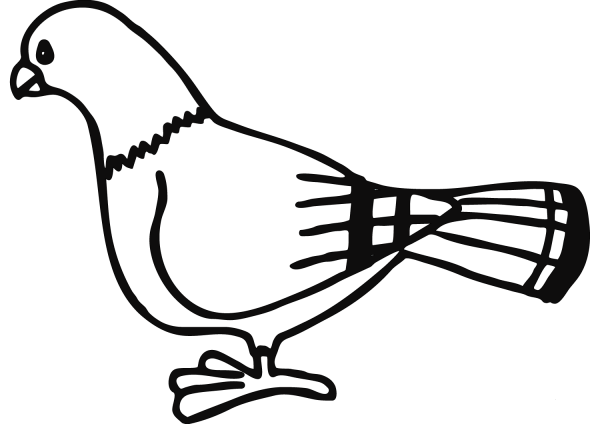 Pigeon coloring page image
