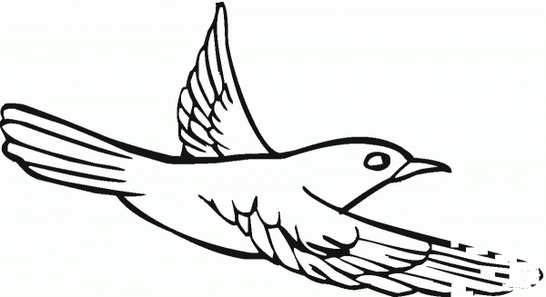 Pigeon coloring page image