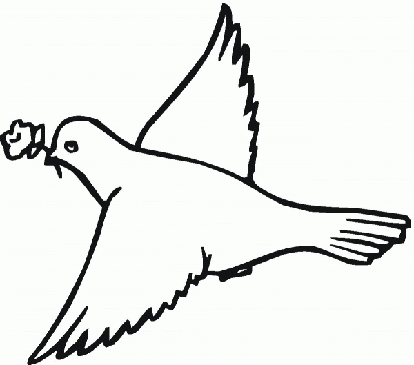 Pigeon coloring page image