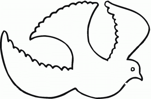 Pigeon coloring page image