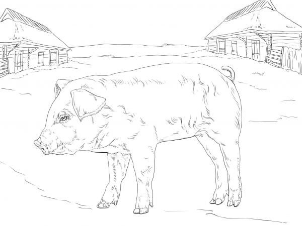 Piglet coloring page image