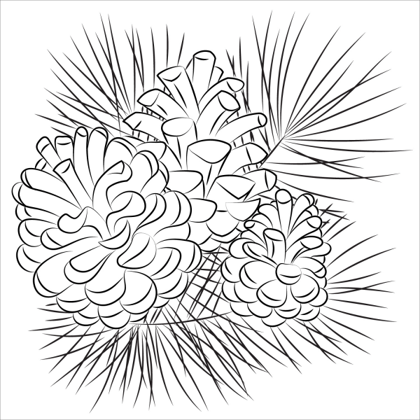Pine Cone coloring page image