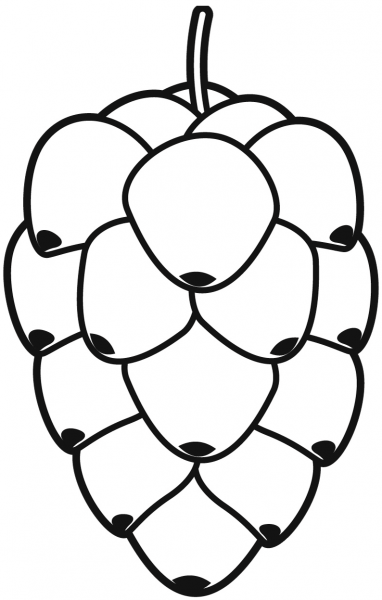 Pine Cone coloring page image