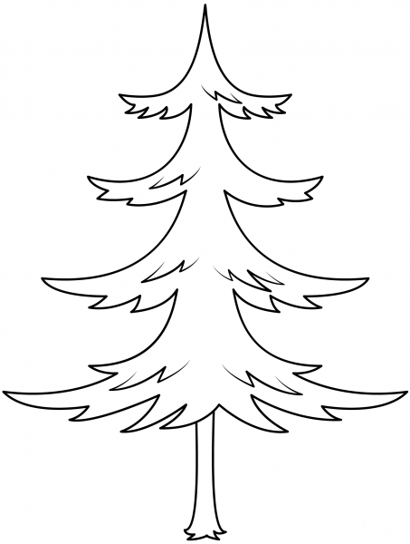 Pine Tree coloring page image