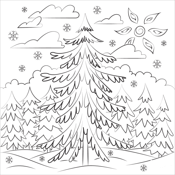 Pine Tree coloring page image