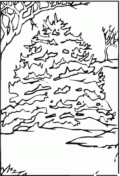Pine Tree in the Snow coloring page image
