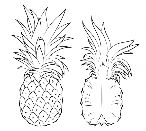 Pineapple and Cross Section coloring page image