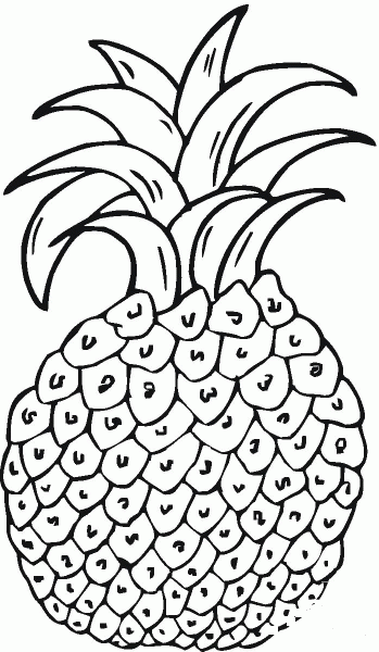 Pineapple coloring page image