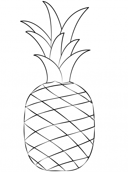 Pineapple coloring page image