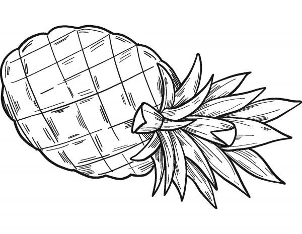 Pineapple coloring page image