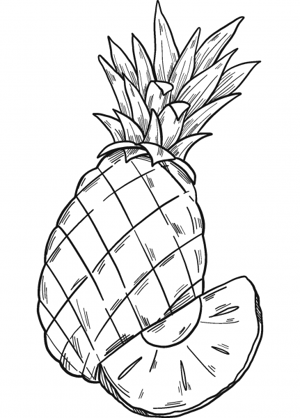 Pineapple coloring page image