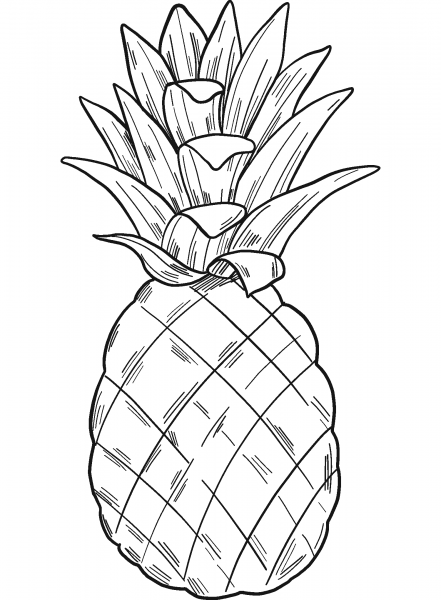 Pineapple coloring page image