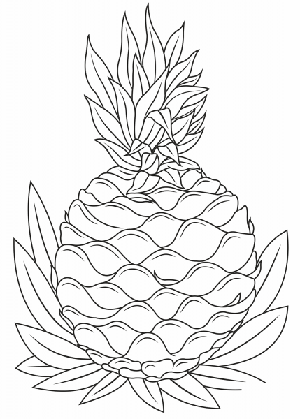 Pineapple coloring page image