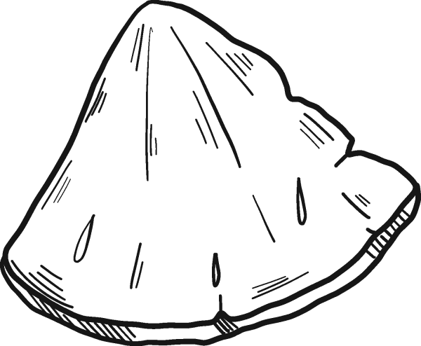 Pineapple Slice coloring page image