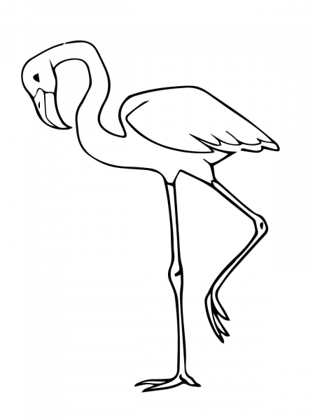 Pink Flamingo Bird coloring page image