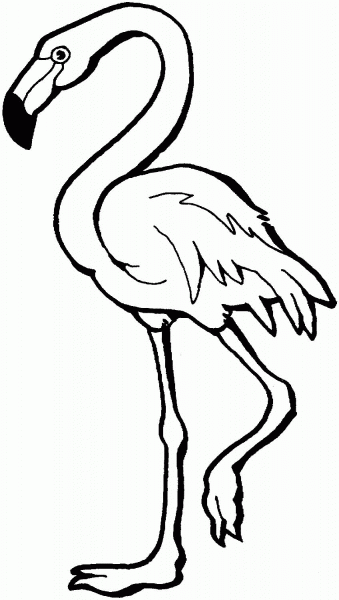 Pink Flamingo coloring page image