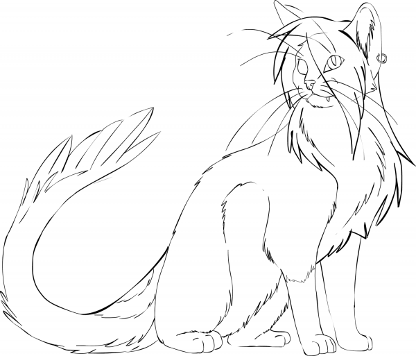 Pirate Cat coloring page image