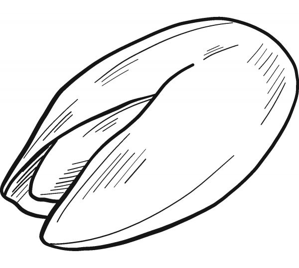 Pistachio coloring page image