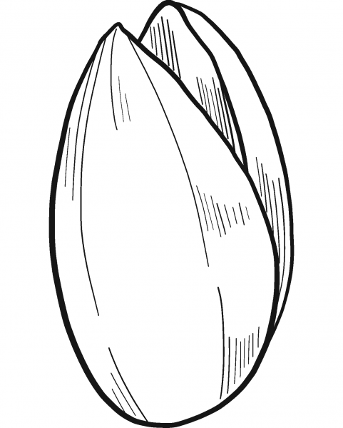 Pistachio coloring page image
