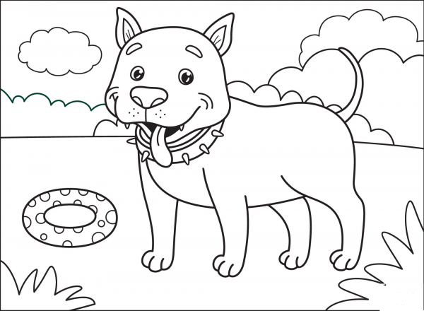 Pitbull coloring page image