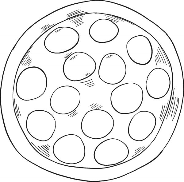 Pizza coloring page image