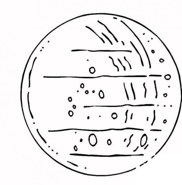 Planet Mercury  coloring page image