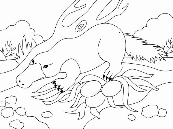 Platypus coloring page image