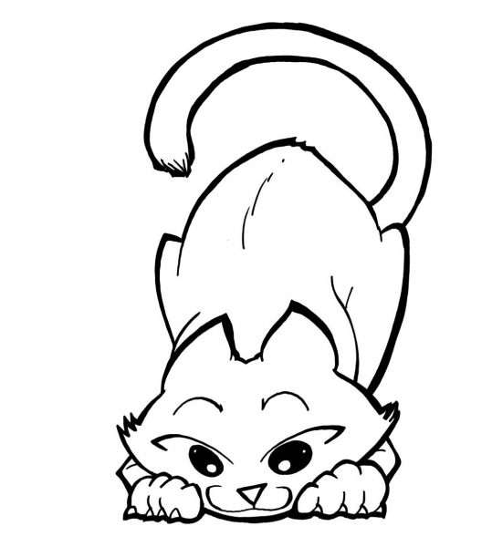 Playful Kitty coloring page image