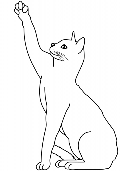 Playing Cat coloring page image