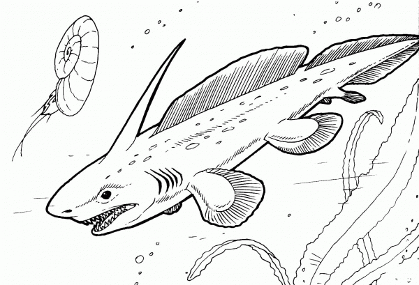 Pleuracanthus – Prehistoric Shark coloring page image