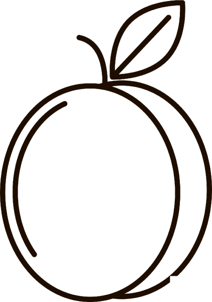 Plum coloring page image