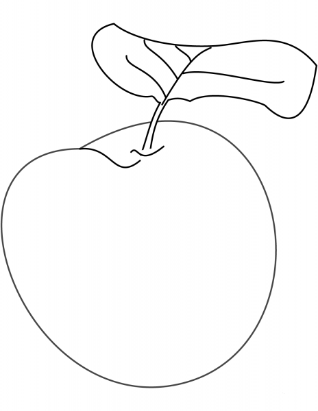 Plum coloring page image