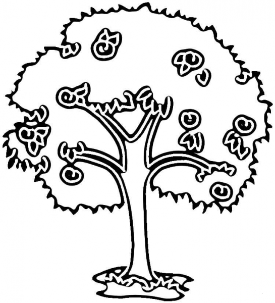 Plum Tree  coloring page image