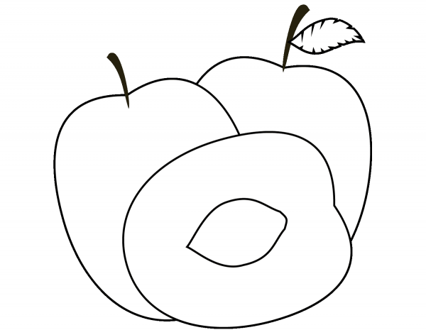 Plums coloring page image