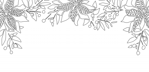 Poinsettia and Mistletoe Border coloring page image