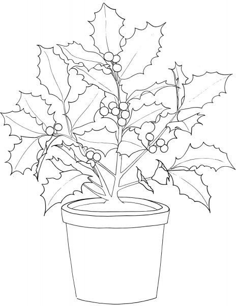 Poinsettia in a Pot coloring page image
