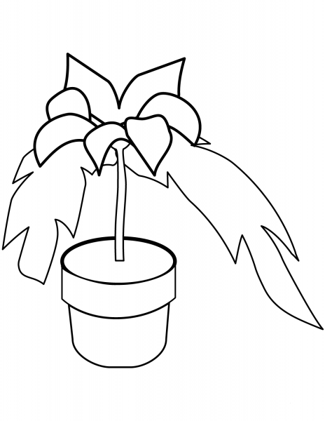 Poinsettia in a Pot coloring page image