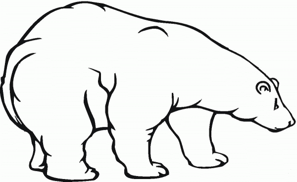 Polar Bear 18 coloring page image