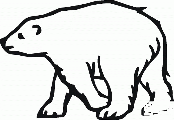 Polar Bear 20 coloring page image