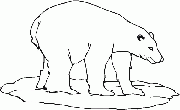 Polar Bear 23 coloring page image