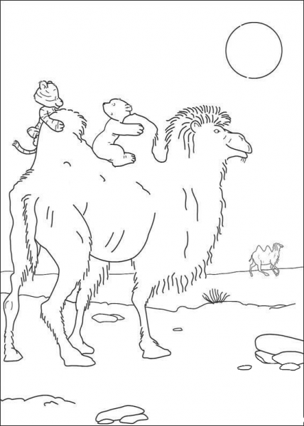 Polar Bear and Fussy Husky are Riding The Camel  coloring page image