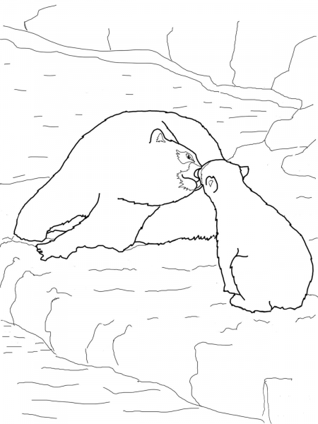 Polar Bear Baby and Mother coloring page image