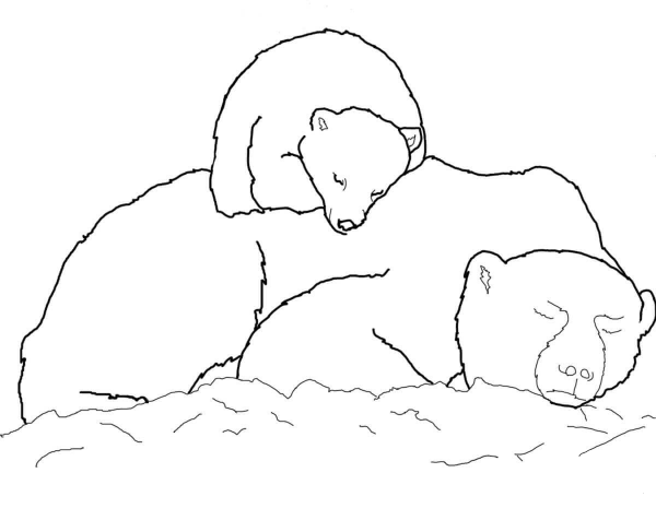 Polar Bear Cub Sleeping on Mother’s Back coloring page image