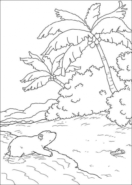 Polar Bear In The Island  coloring page image