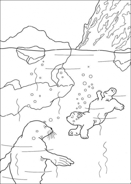 Polar Bear Is Swimming with a seal coloring page image