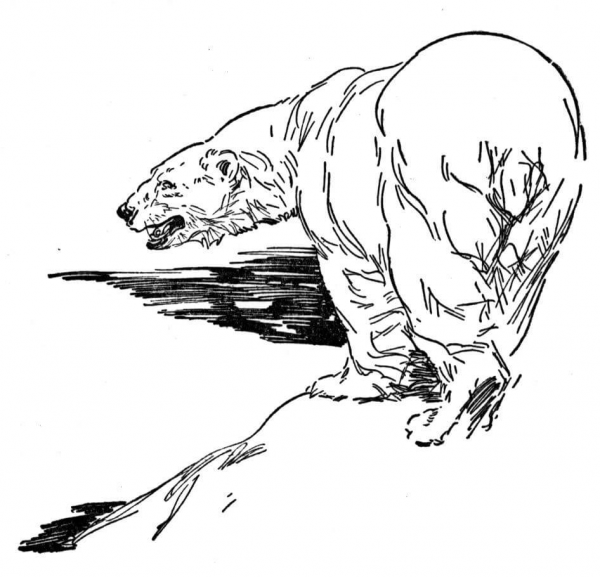 Polar Bear Is Walking On The Ice coloring page image