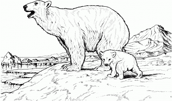 Polar Bear Mother and Baby coloring page image