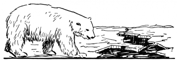 Polar Bear Walks At Beach coloring page image